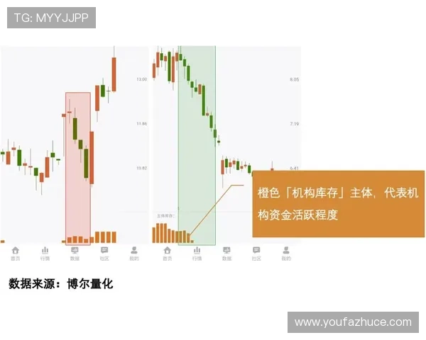 大赢家平台：专业团队全方位支持实现投资者的财富增长